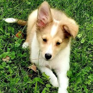 Meet your Posher, Jim